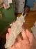 Resin Setting Image